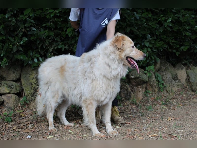 Paolo - Oh, huch, wow!!!