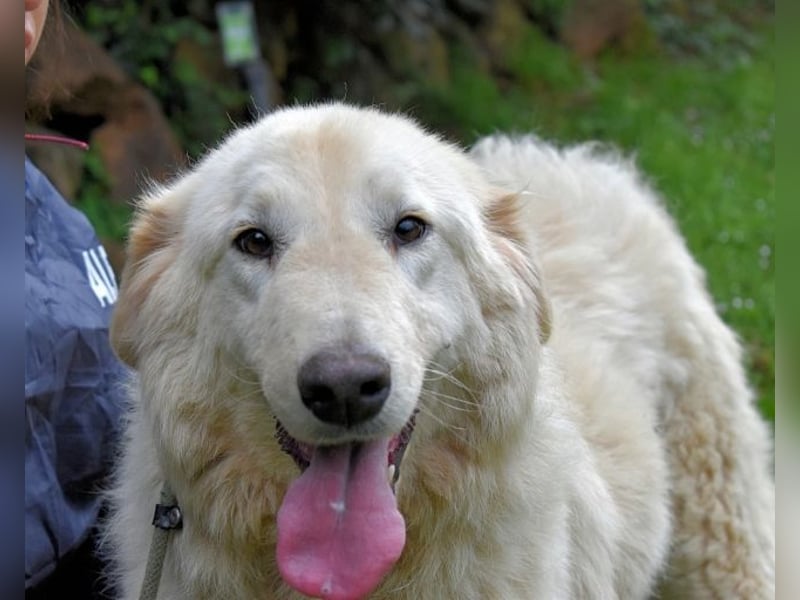 Filomela - Vom Sorgenkind zum Sonnenschein