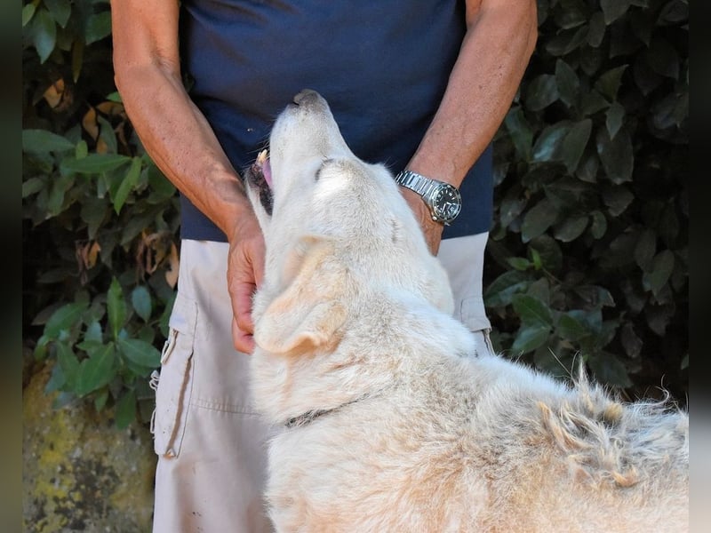 Makeen - es ist die Ohnmacht.....