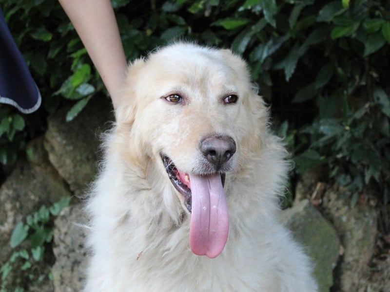 Paolo - Oh, huch, wow!!!