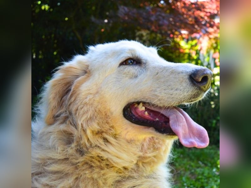 Filomela - Vom Sorgenkind zum Sonnenschein