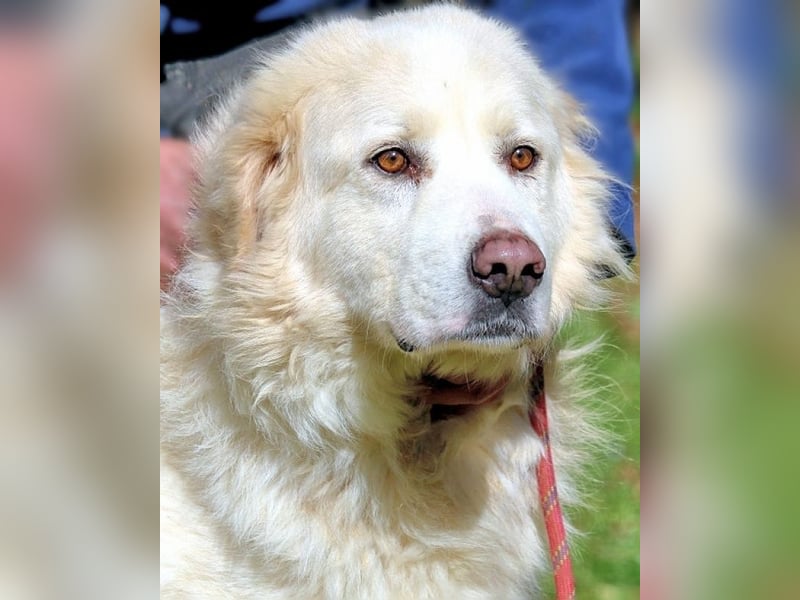 Eluard - Hoffnung auf echte Freundschaft!