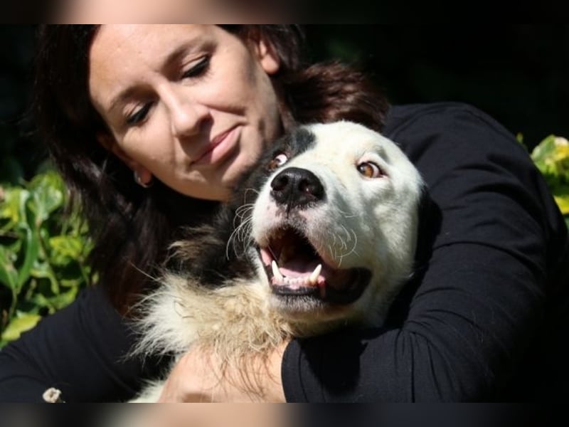 Mathis - mit dem treuen Blick