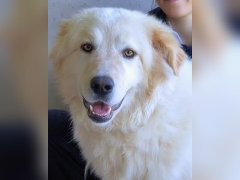 Skilah - Wenn Niemand zu Jemand wird