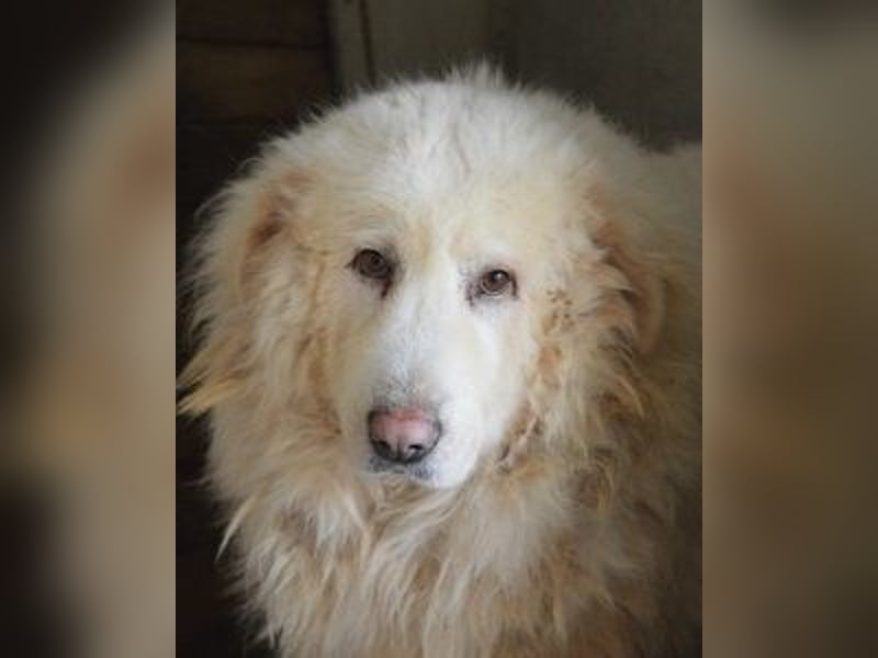 Atheron - Das Ehemaligentreffen