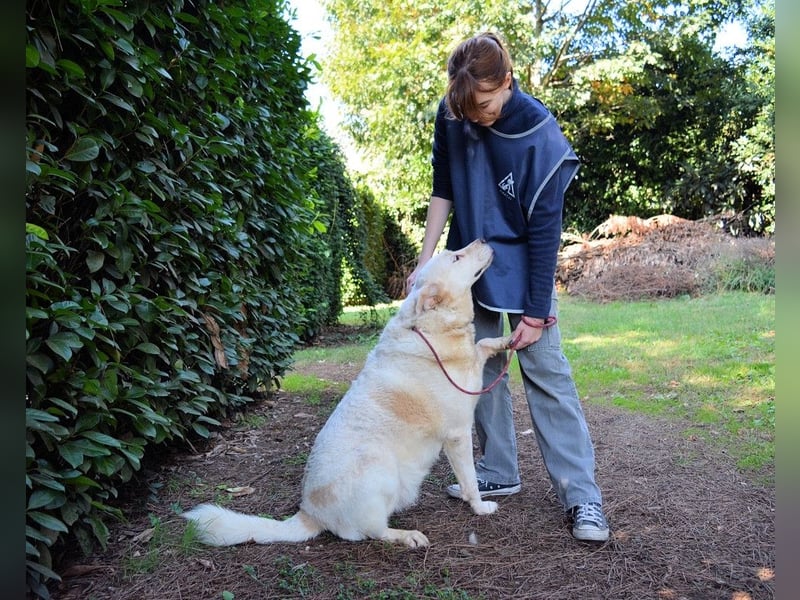 Zipper - Ein vergeudetes Leben