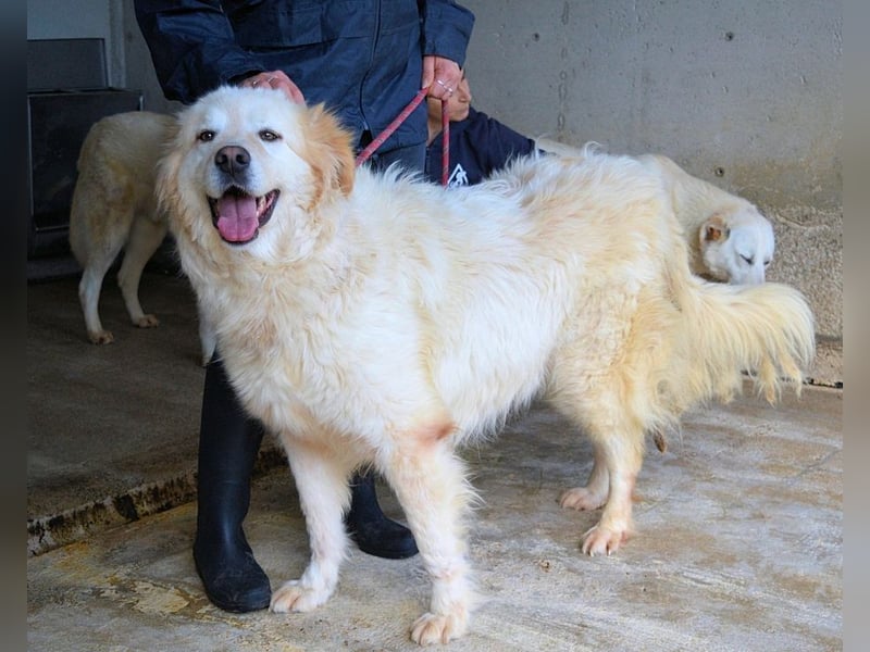 Skilah - Wenn Niemand zu Jemand wird