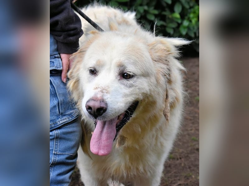 Eluard - Hoffnung auf echte Freundschaft!