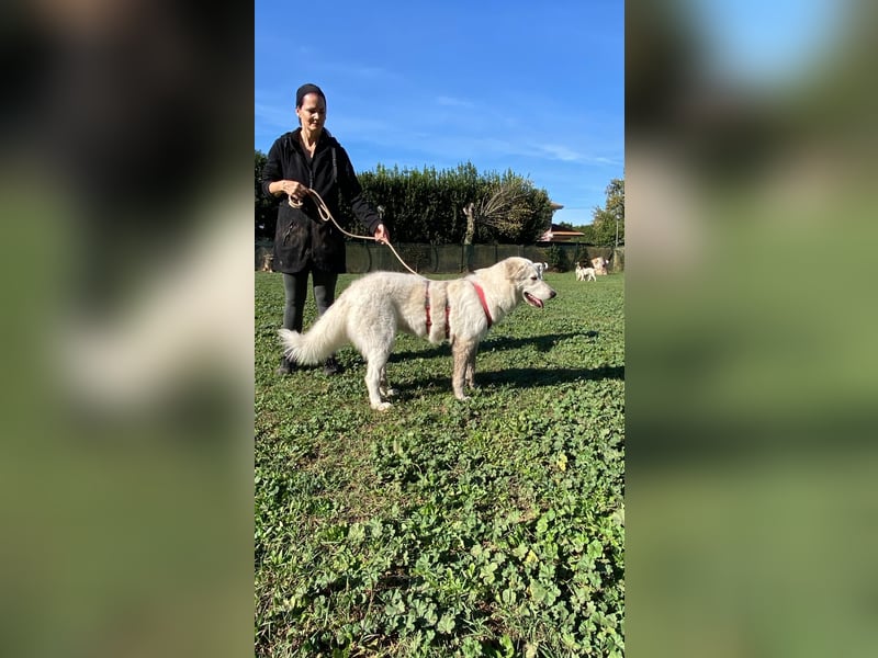 Mona - eine weiße Herzensbrecherin und ihre drei Schwestern