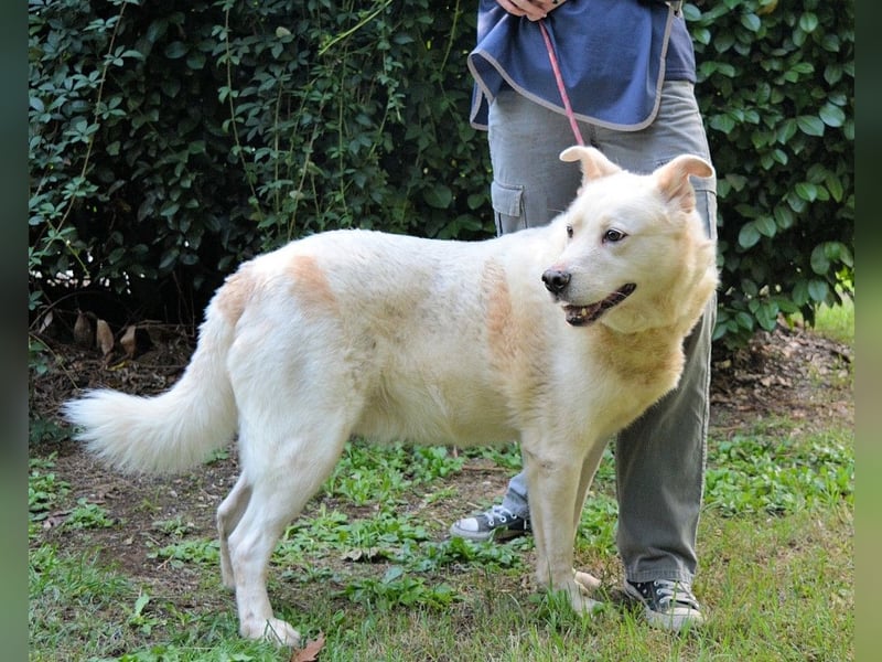 Zipper - Ein vergeudetes Leben