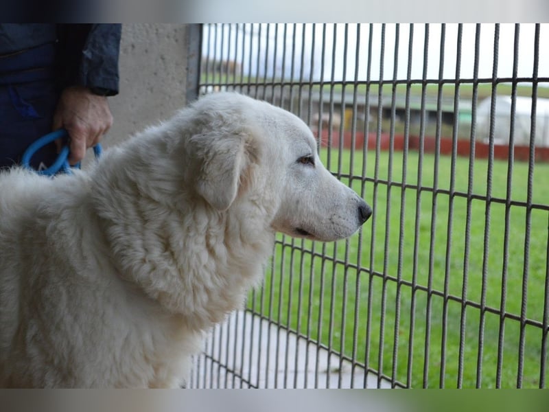 Rosvielle - Auf einer Skala von 1 bis 10....
