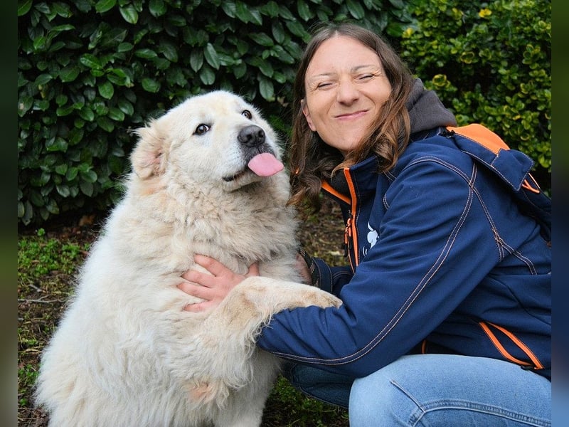 Tallulah - Grandezza auf vier Pfoten!