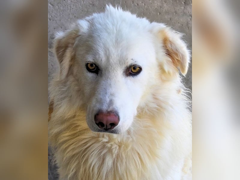 Fredrik - Für immer zusammen?