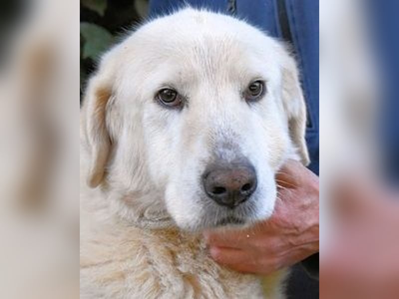 Makeen - es ist die Ohnmacht.....