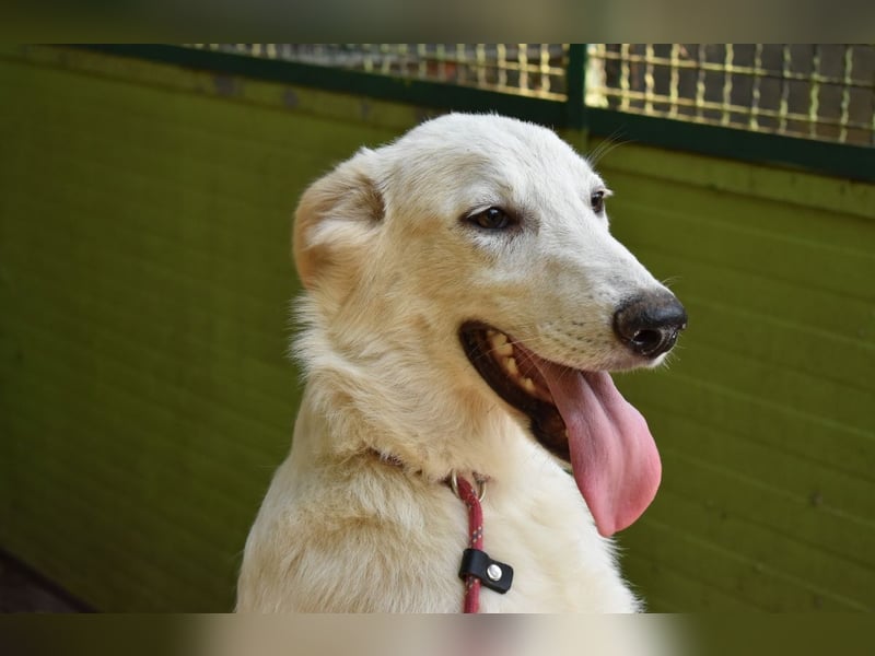 Isana - Wo ist mein neues Leben?