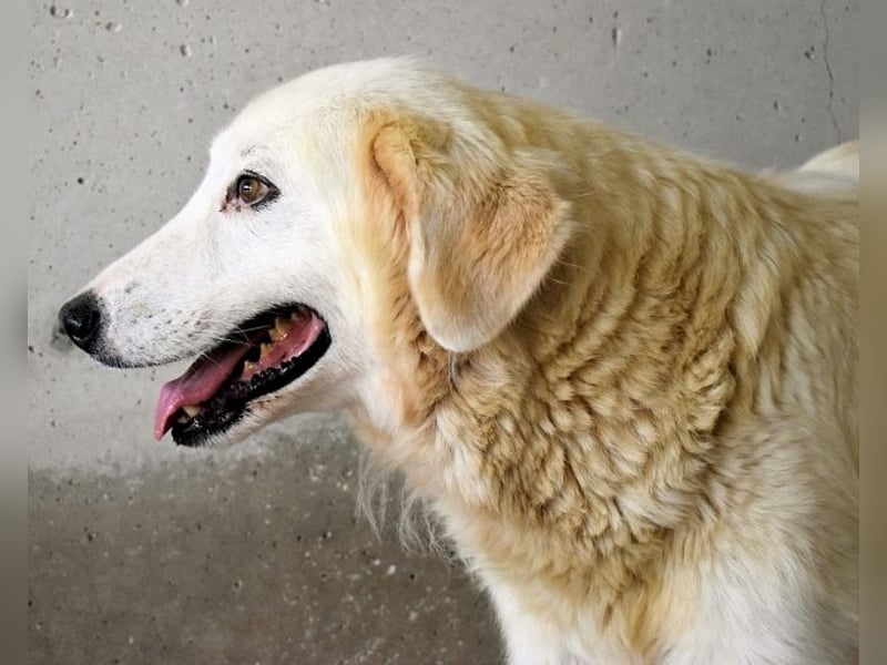 Benilda - Familienmutter in Not