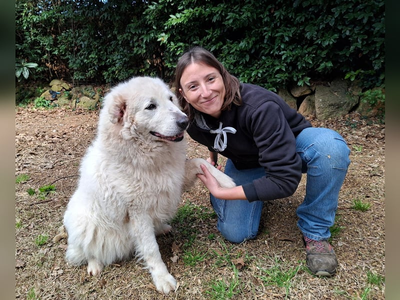 Tallulah - Grandezza auf vier Pfoten!