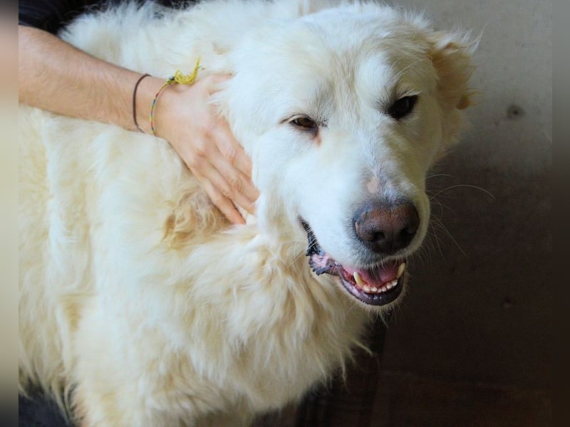 Leverett - Ich sehe was, was du (noch) nicht siehst!