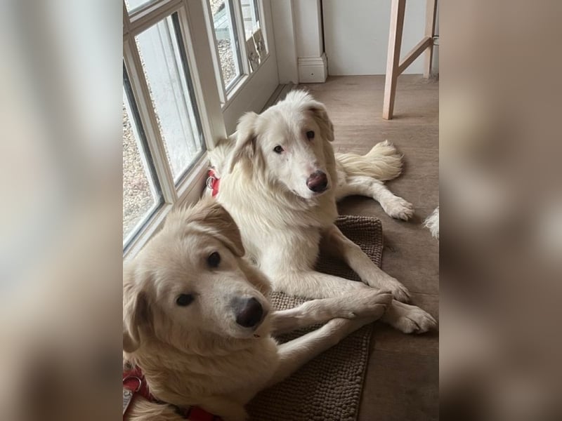 Stardust - Von der Erde zum Mond und zurück....