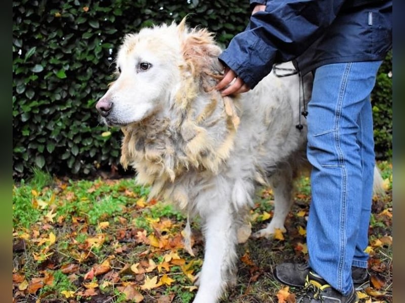 Akamu - Sucht seinen passenden Deckel