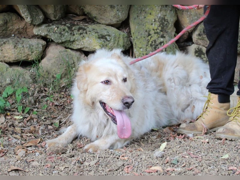 Paolo - Oh, huch, wow!!!