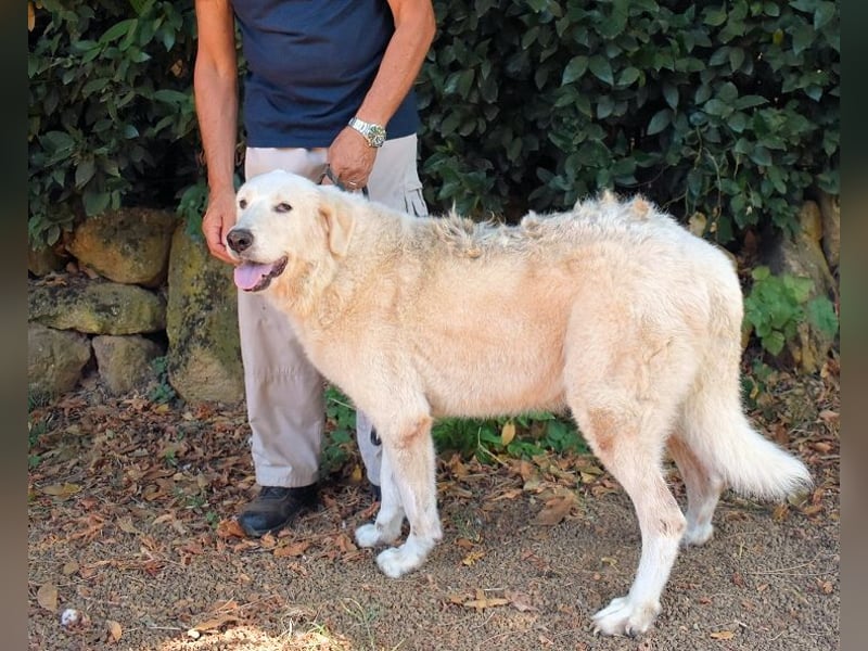 Makeen - es ist die Ohnmacht.....