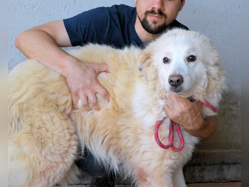 Olivielle- Junge Dame im Bärenmantel