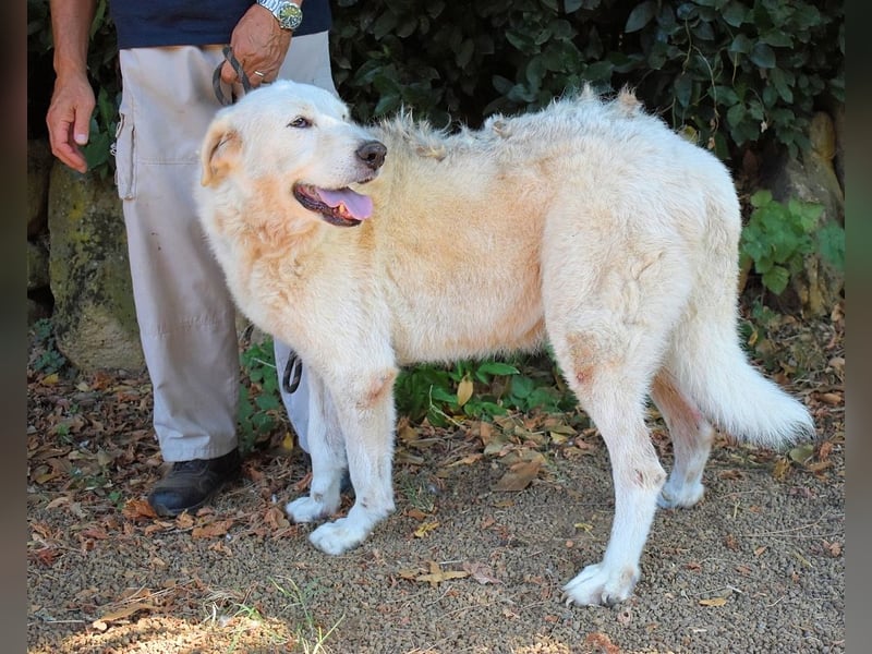 Makeen - es ist die Ohnmacht.....