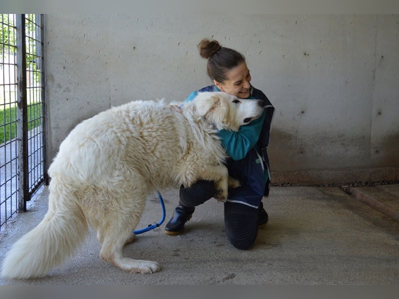 Leverett - Ich sehe was, was du (noch) nicht siehst!