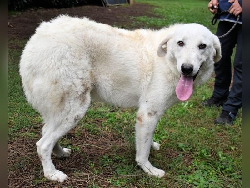 Dayton - niemals ist eine schrecklich lange Zeit