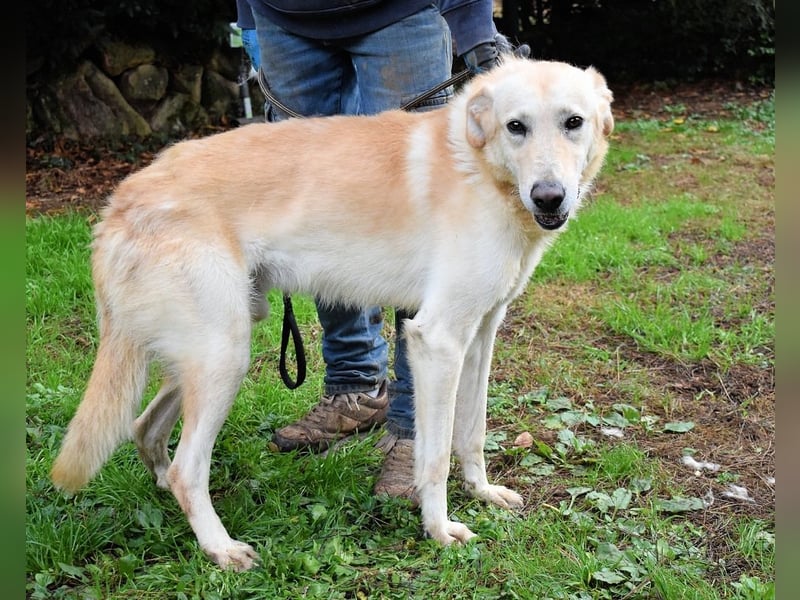 Yannick - eine zweite Kindheit?