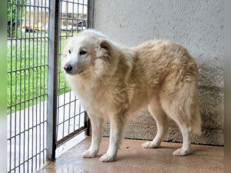 Olivielle- Junge Dame im Bärenmantel