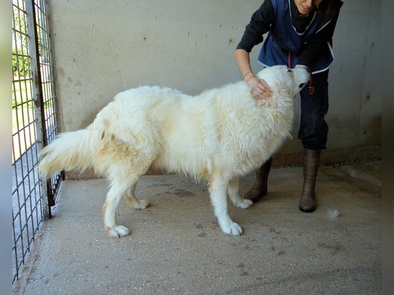 Leverett - Ich sehe was, was du (noch) nicht siehst!