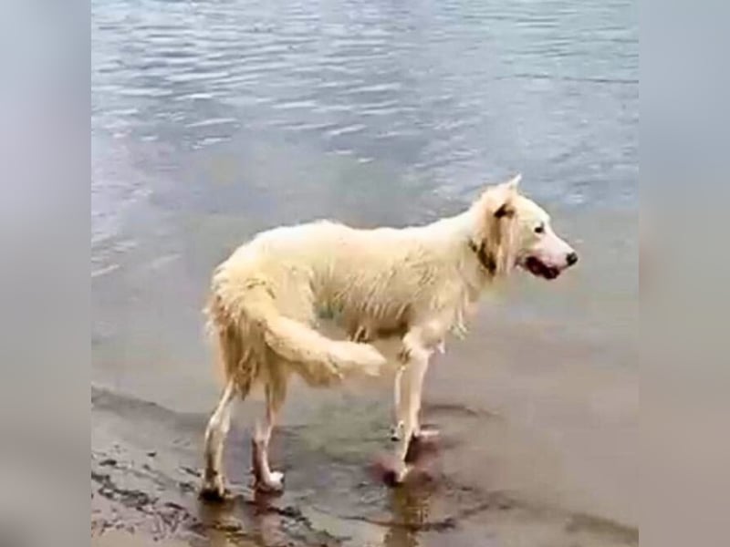 Stardust - Von der Erde zum Mond und zurück....