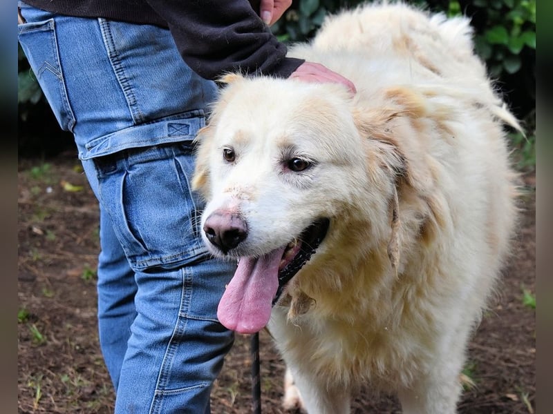 Eluard - Hoffnung auf echte Freundschaft!