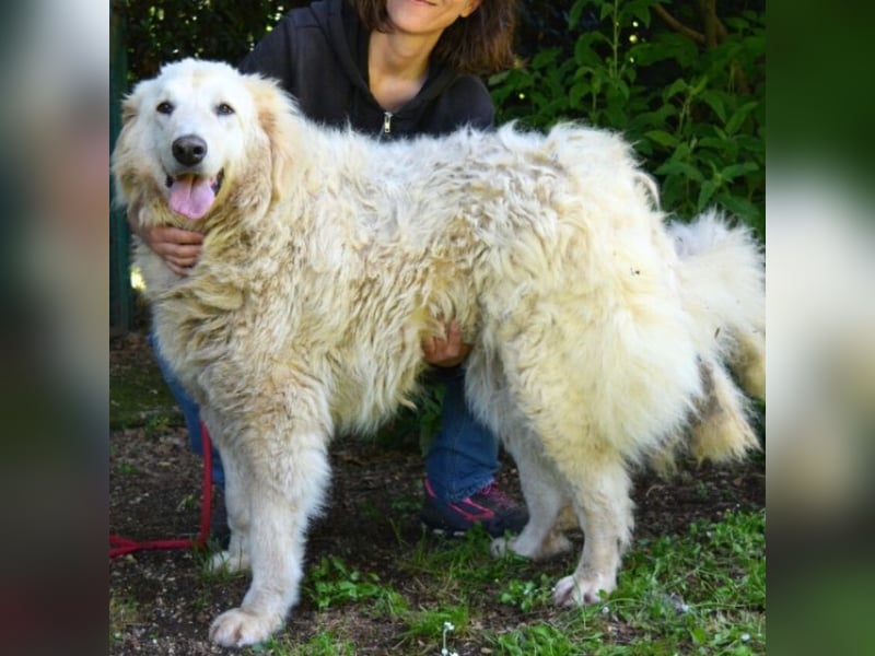 Filomela - Vom Sorgenkind zum Sonnenschein