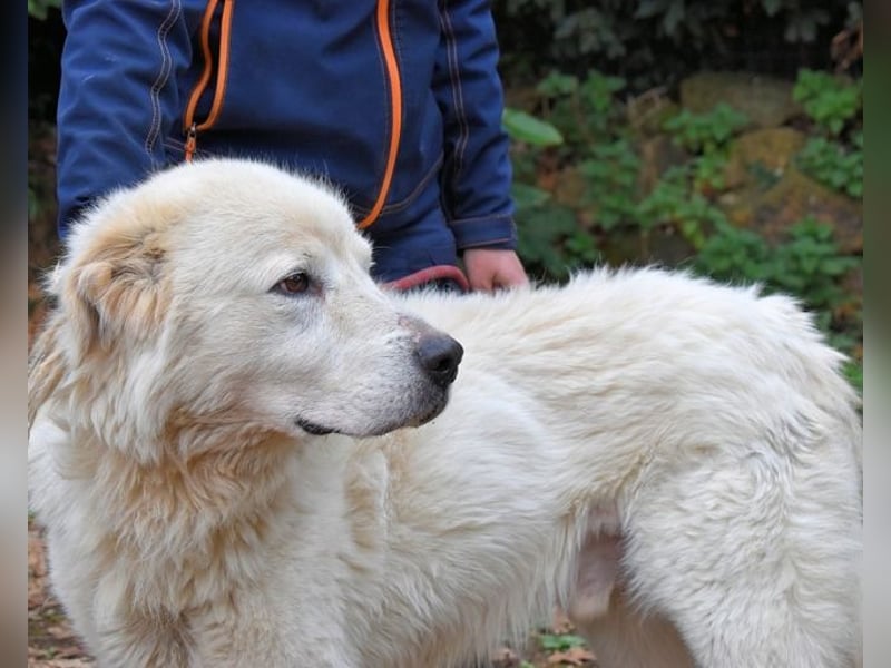 Apolonio - möchte für seine Menschen ein Fels in der Brandung sein