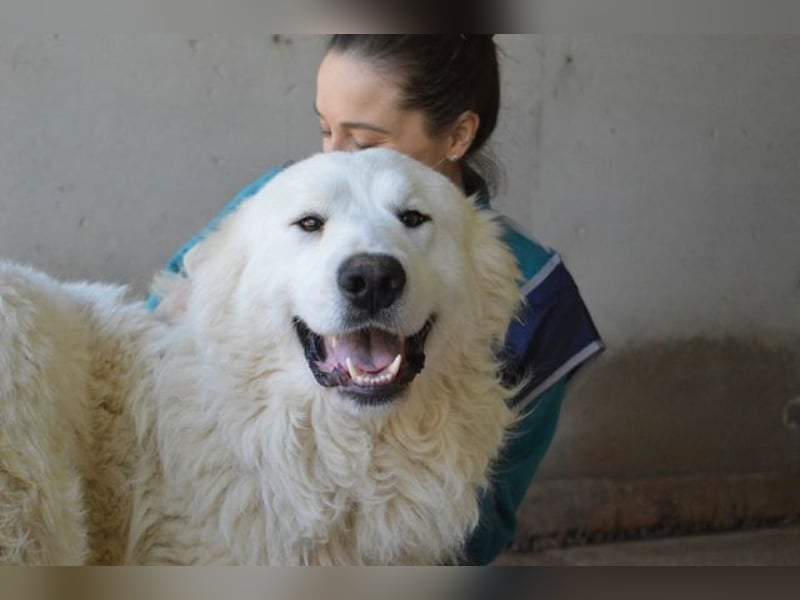 Leverett - Ich sehe was, was du (noch) nicht siehst!