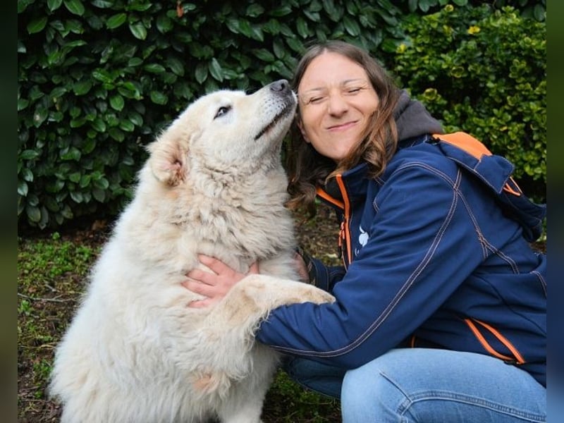 Tallulah - Grandezza auf vier Pfoten!