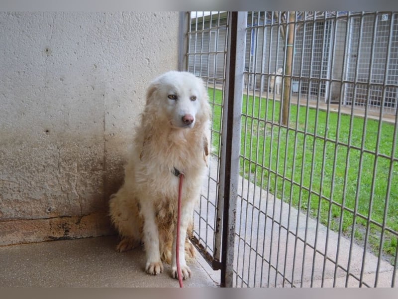 Fredrik - Was nach der Trennung kommt