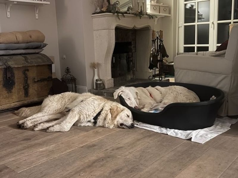 Stardust - Von der Erde zum Mond und zurück....