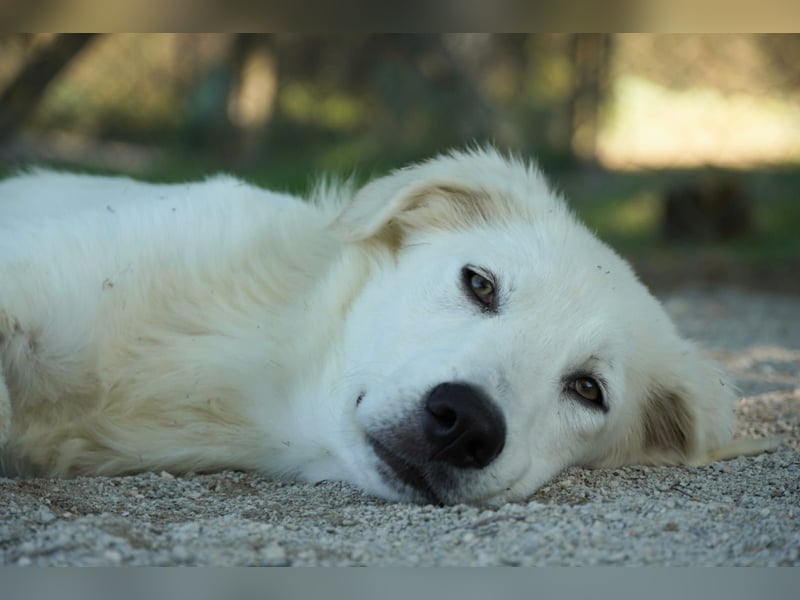 Madea - in ihrer ganzen Schönheit
