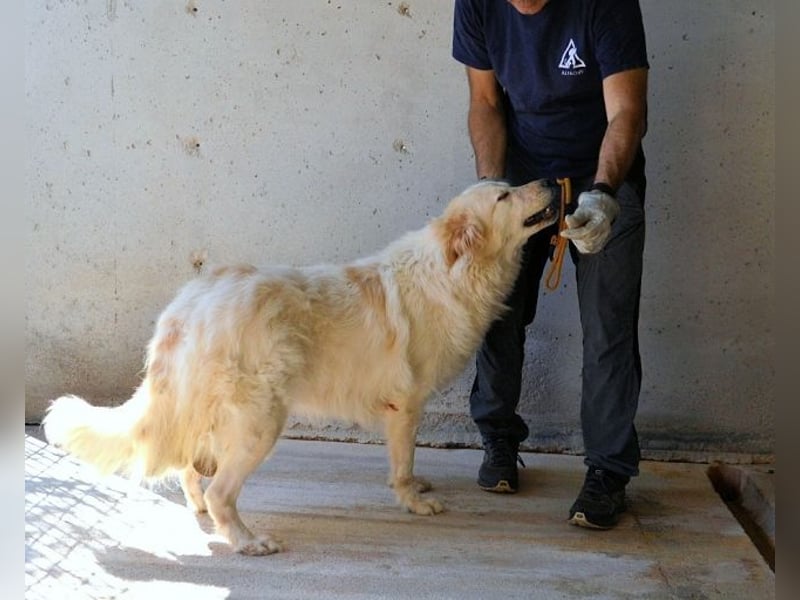Skilah - Wenn Niemand zu Jemand wird
