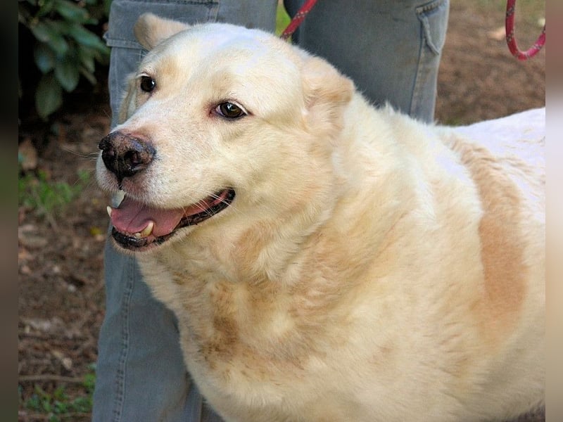 Zipper - Ein vergeudetes Leben