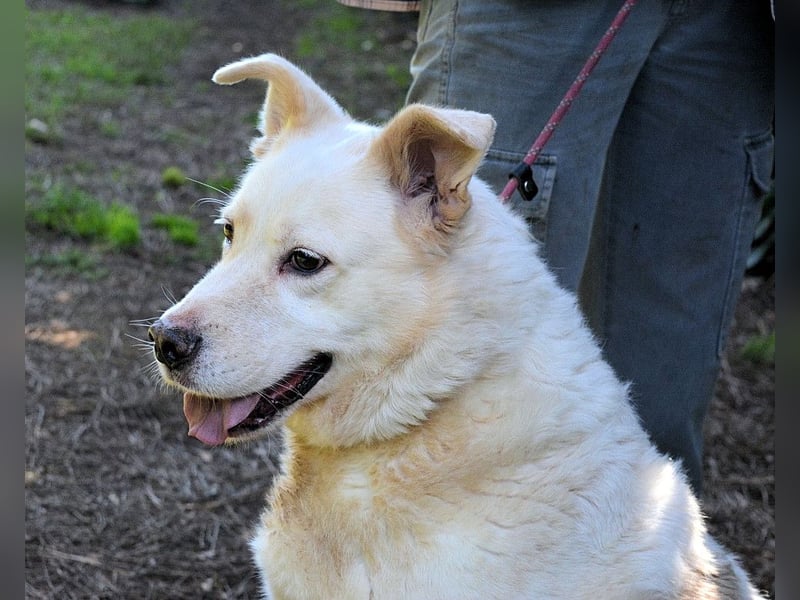 Zipper - Ein vergeudetes Leben