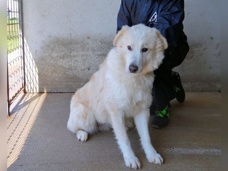 Olivielle- Junge Dame im Bärenmantel