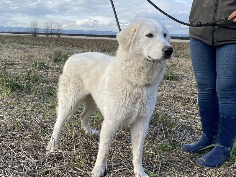 Mona - Ruhe, Würde und ein großes Herz