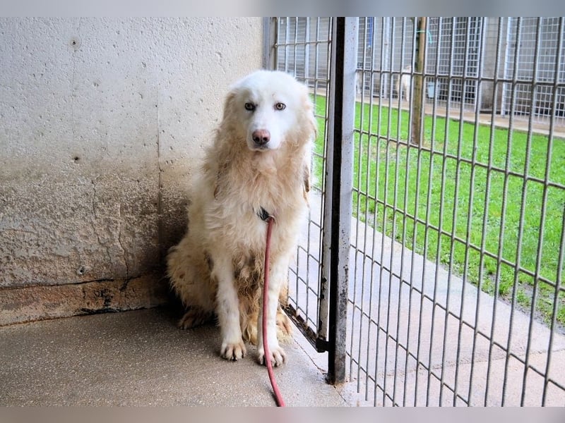 Fredrik - Was nach der Trennung kommt