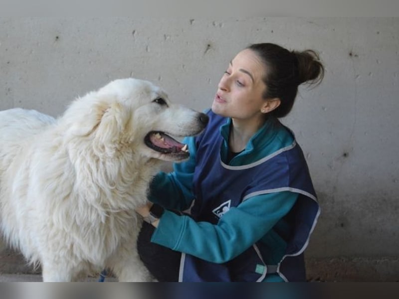 Leverett - Ich sehe was, was du (noch) nicht siehst!