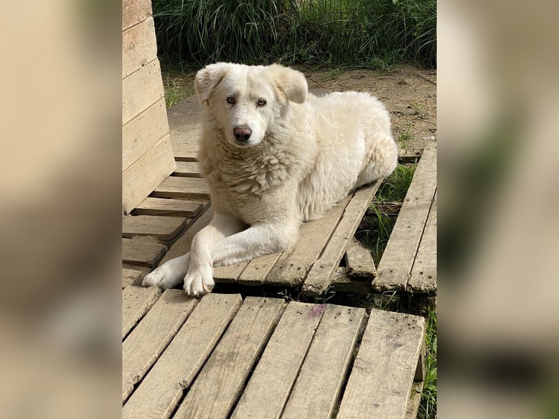 Sindbad - Zwischen Vorsicht und Vertrauen